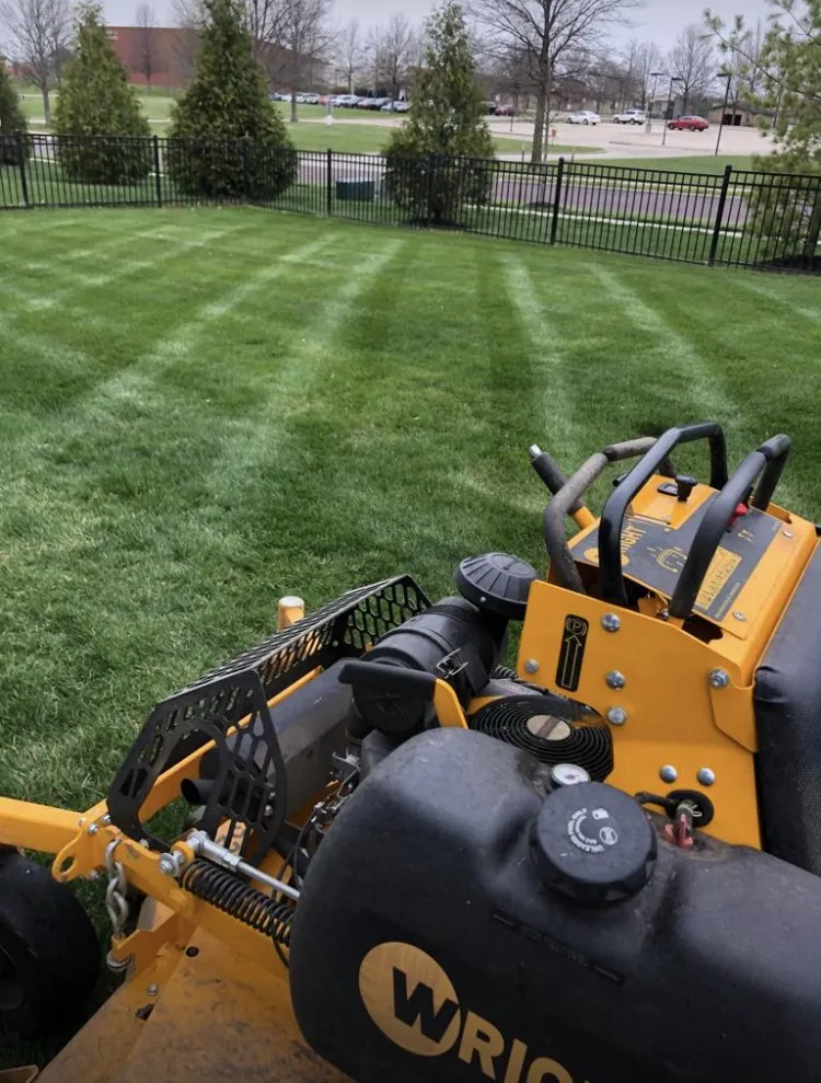 Expert yard cleanup service experts serving Olathe, KS - Four Leaf Lawn Care