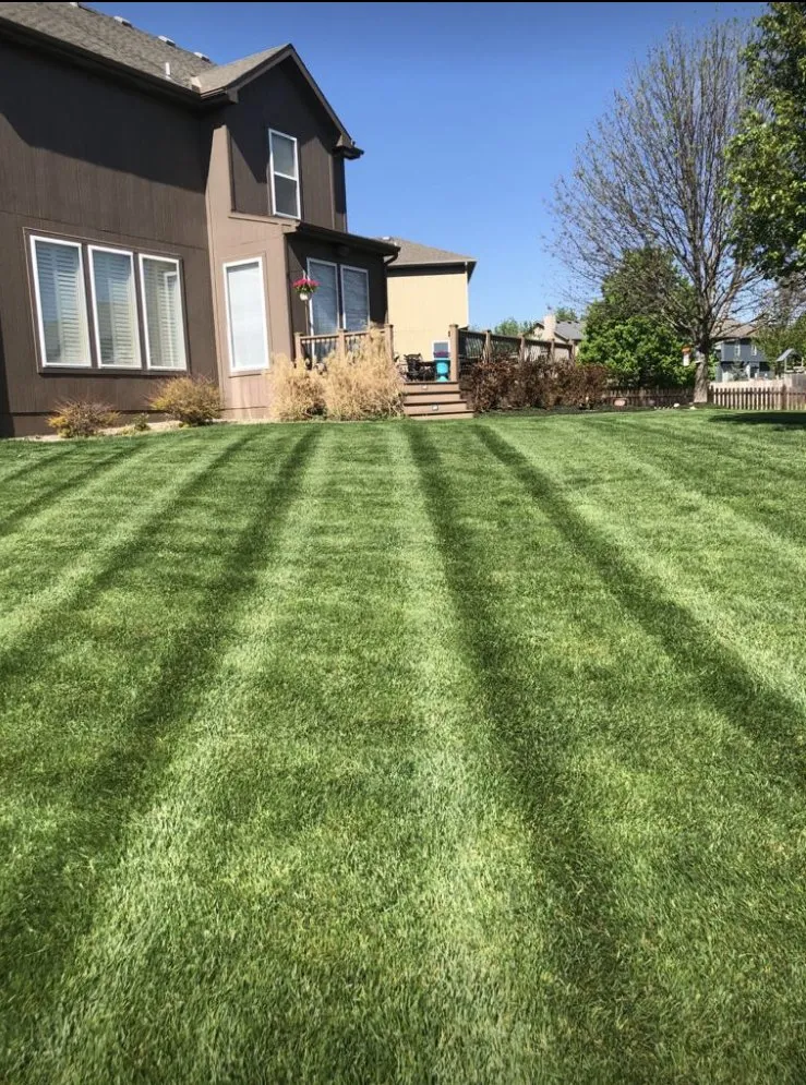 Custom lawn mowing service in Olathe, KS - Four Leaf Lawn Care