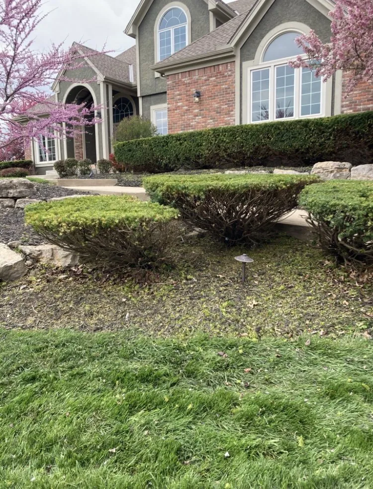 Reliable lawn mowing service experts serving Olathe, KS - Four Leaf Lawn Care