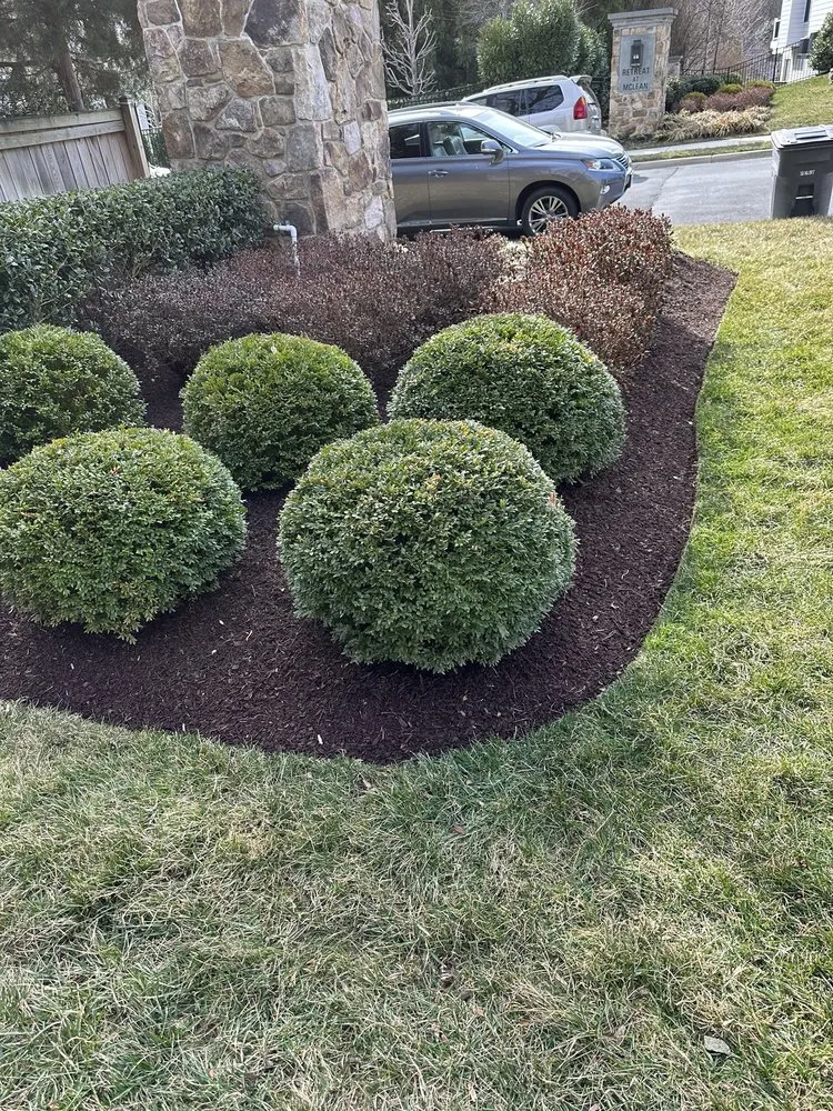 Local residential landscaping near you in Manassas, VA by Four Oaks Landscaping
