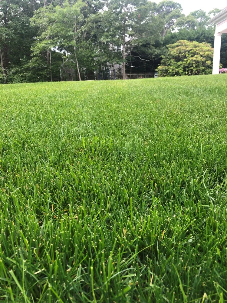 Local landscaping services with custom design in Mashpee, MA by Four Paws Lawn Care