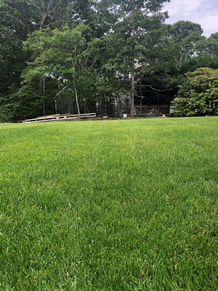 Professional landscape installation experts serving Mashpee, MA - Four Paws Lawn Care