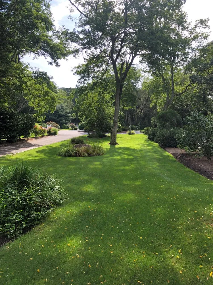 Trusted landscaping services experts serving Mashpee, MA - Four Paws Lawn Care