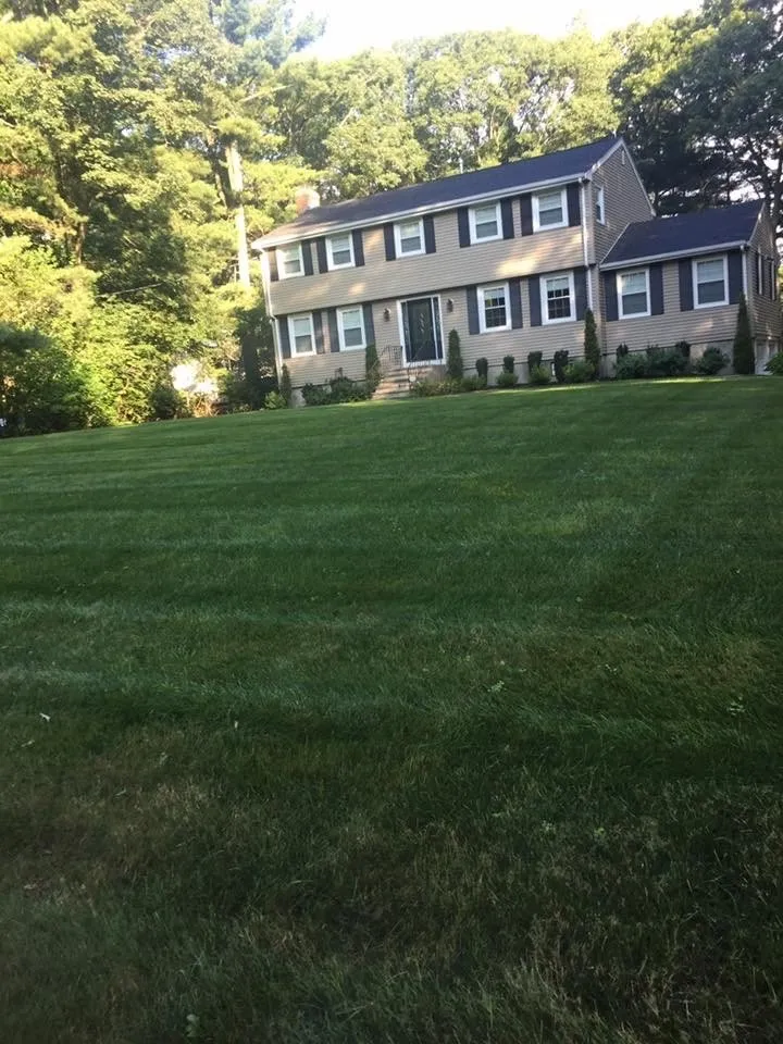 Reliable yard cleanup service with custom design across Millbury, MA - Four Paws Lawn Care