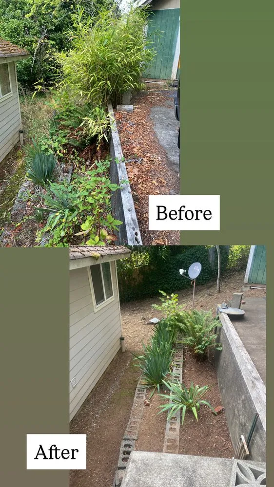 Affordable outdoor landscaping in Shelton, WA by Four Rivers Landscaping