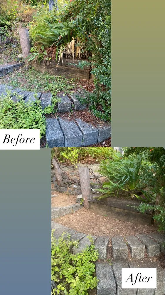 Professional landscape installation in Shelton, WA by Four Rivers Landscaping