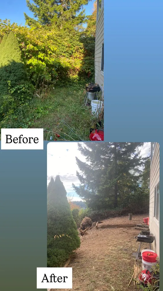 Professional yard maintenance for outdoor upgrades in Shelton, WA by Four Rivers Landscaping