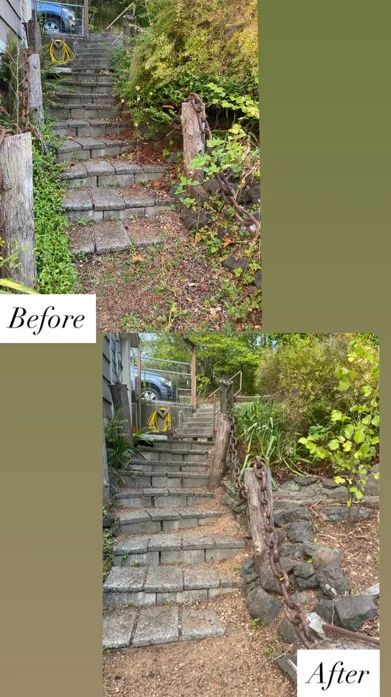 Top-rated landscaping services in Shelton, WA by Four Rivers Landscaping