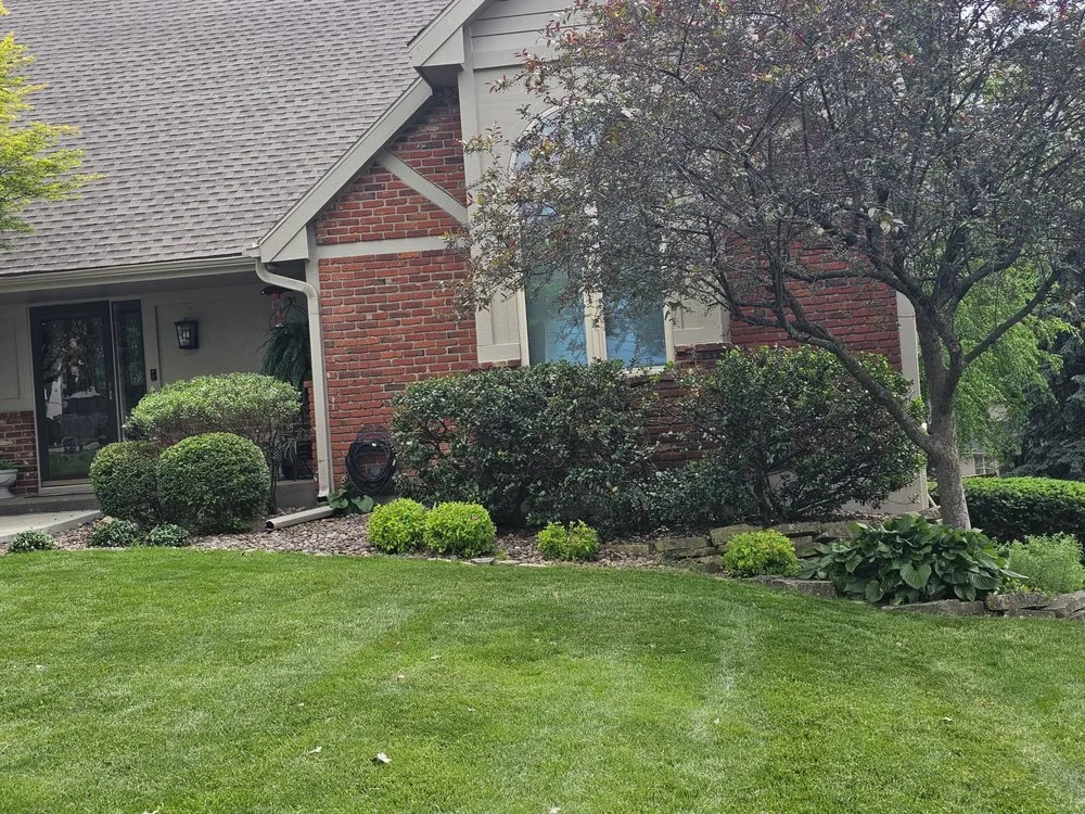 Professional yard cleanup service experts serving Kansas City, MO - Four Roots Landscape