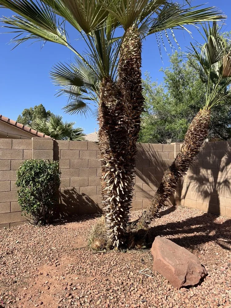 Affordable lawn mowing service near you across Gilbert, AZ - Four Season Clean Ups