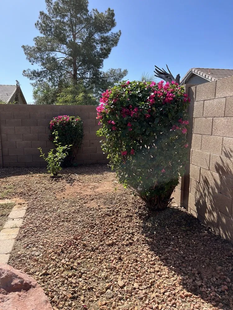Top-rated landscape installation for residential properties across Gilbert, AZ - Four Season Clean Ups