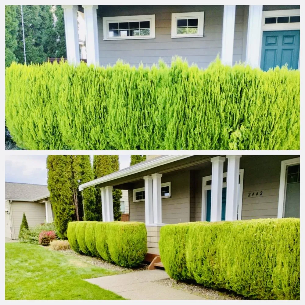 Expert garden landscaping in Yakima, WA by Four Season Landscape & Irrigation