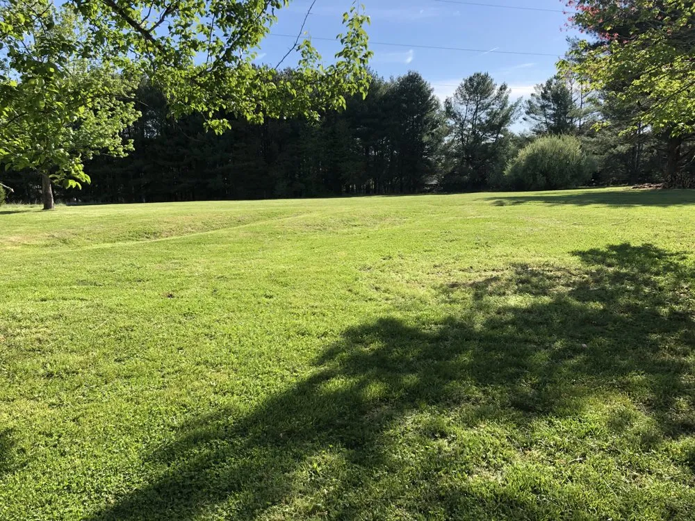 Reliable yard maintenance near you in Lynchburg, VA by Four Season Lawn Care And More