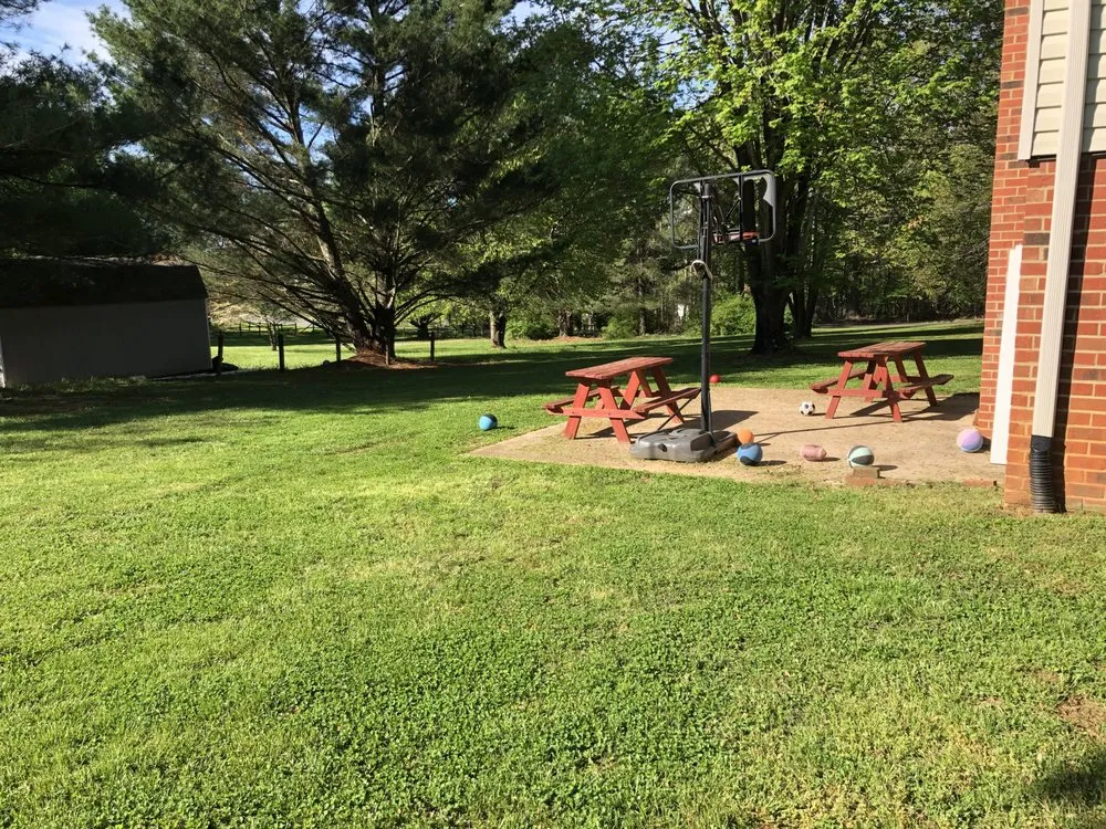 Affordable yard cleanup service experts serving Lynchburg, VA - Four Season Lawn Care And More