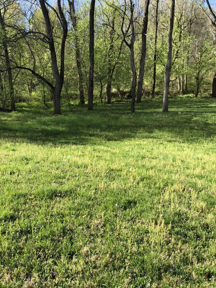 Trusted landscape design in Lynchburg, VA - Four Season Lawn Care And More