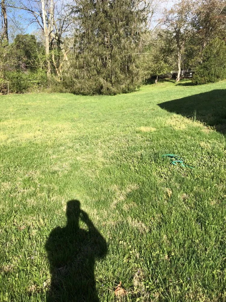 Local lawn mowing service in Lynchburg, VA - Four Season Lawn Care And More