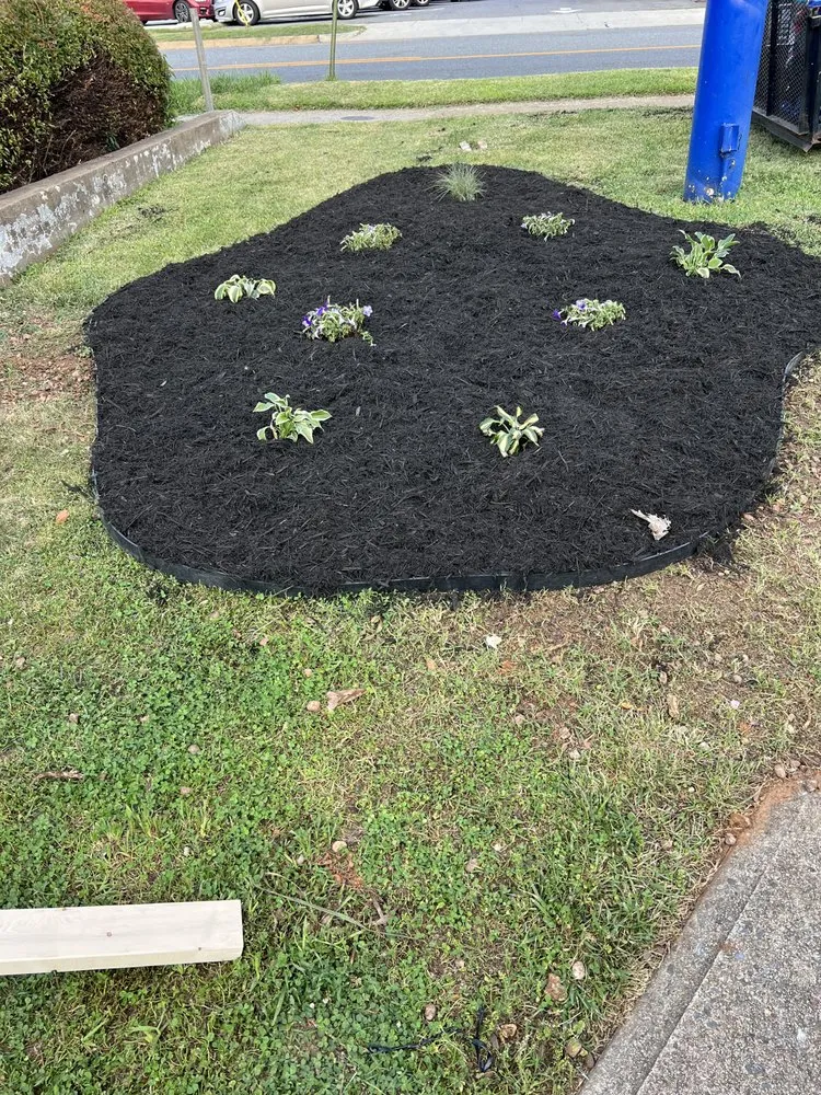 Professional yard maintenance near you in Lynchburg, VA by Four Season Lawn Care And More