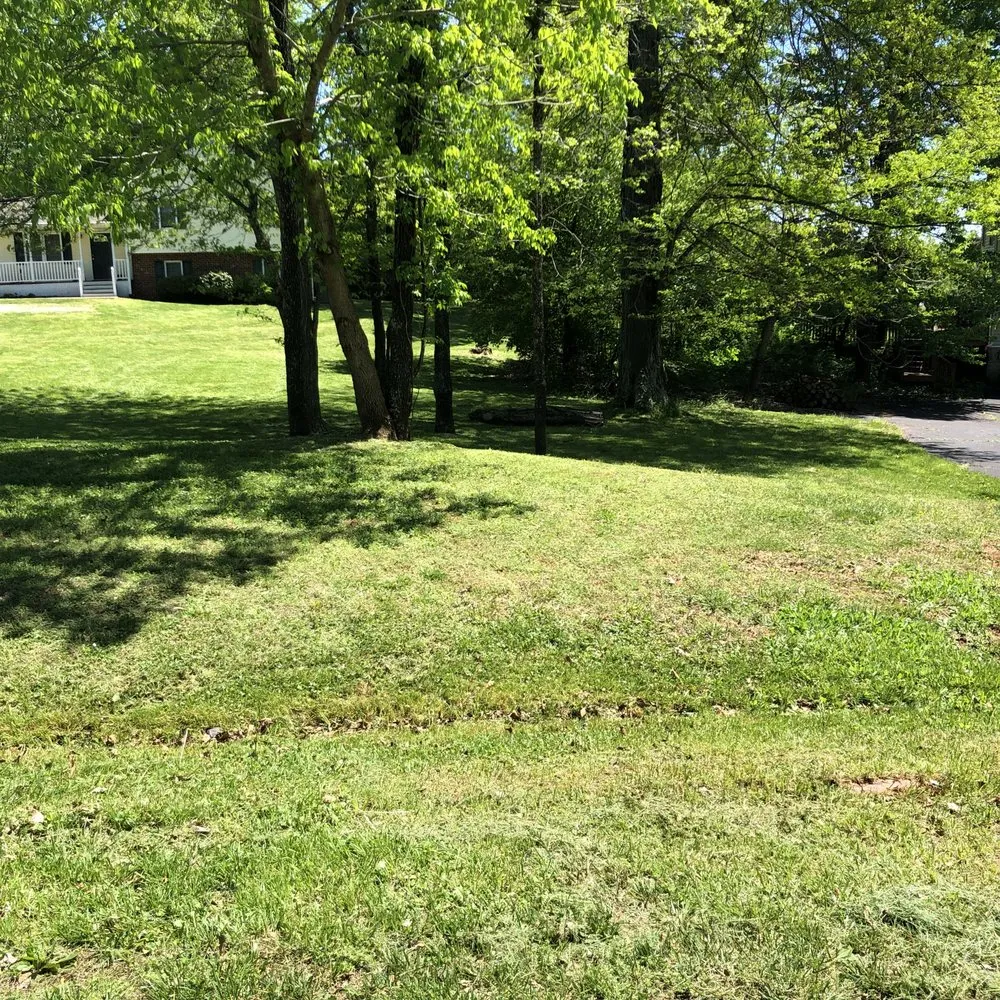 Expert outdoor landscaping experts serving Lynchburg, VA - Four Season Lawn Care And More