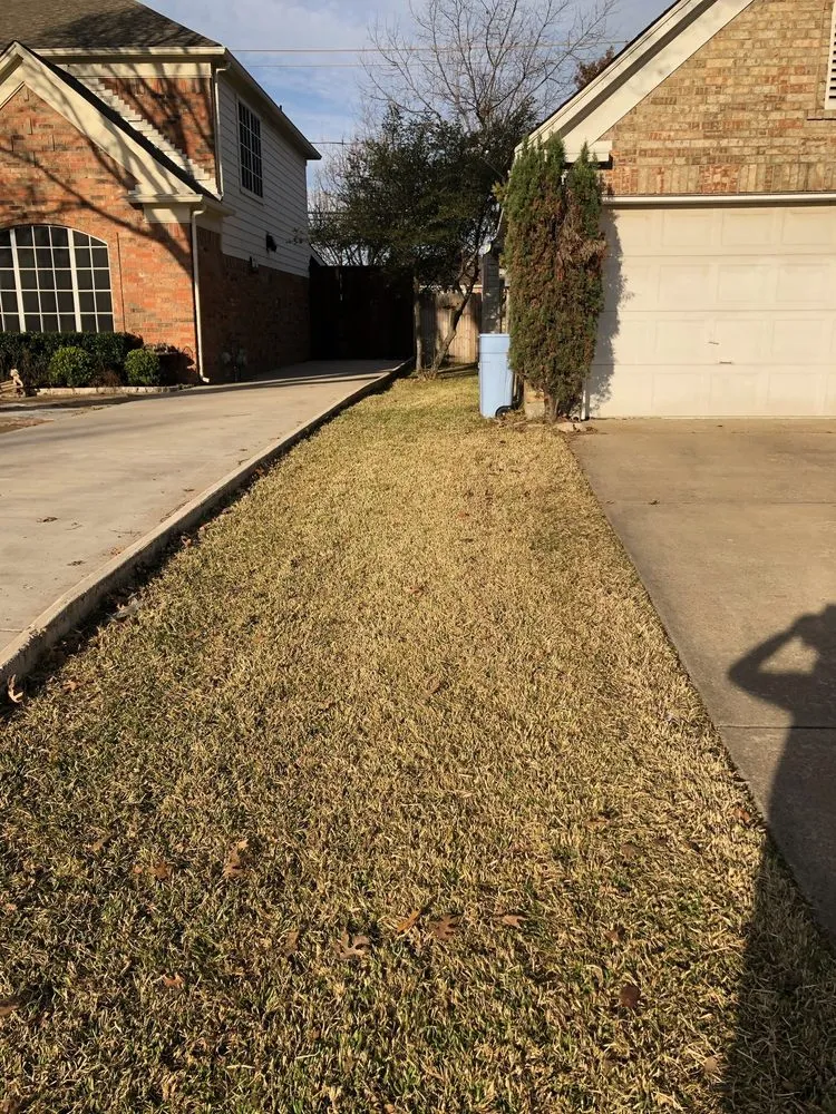 Trusted landscaping services for homes across Dallas, TX - Four Season Mowing