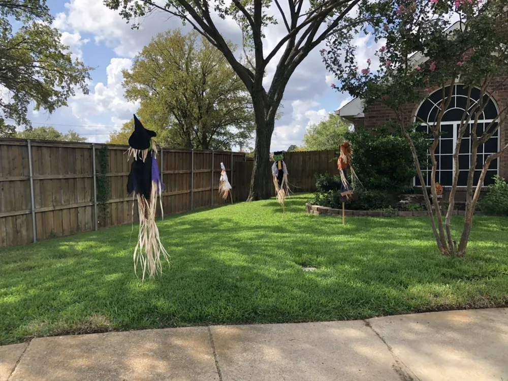 Top-rated yard cleanup service for year-round maintenance across Dallas, TX - Four Season Mowing