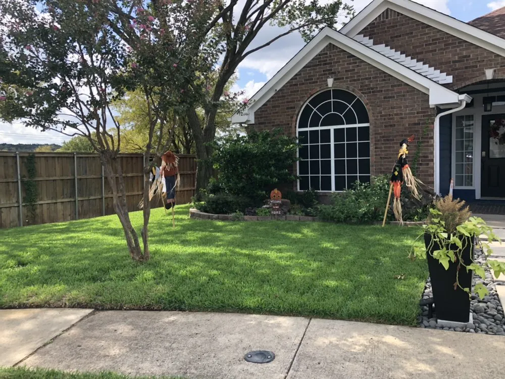 Reliable yard maintenance experts serving Dallas, TX - Four Season Mowing