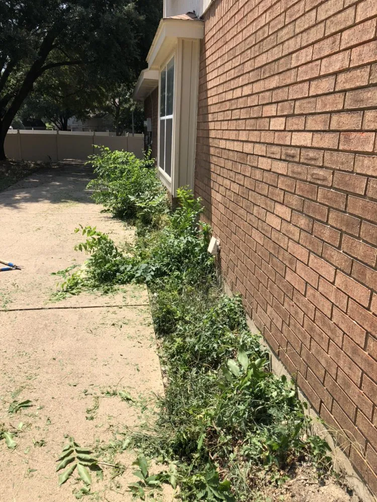 Professional lawn mowing service for beautiful yards in Dallas, TX by Four Season Mowing