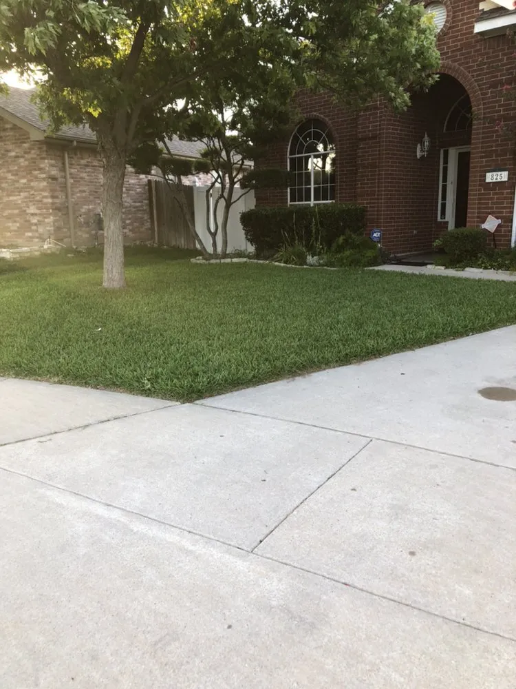 Professional lawn care service for year-round maintenance in Dallas, TX by Four Season Mowing