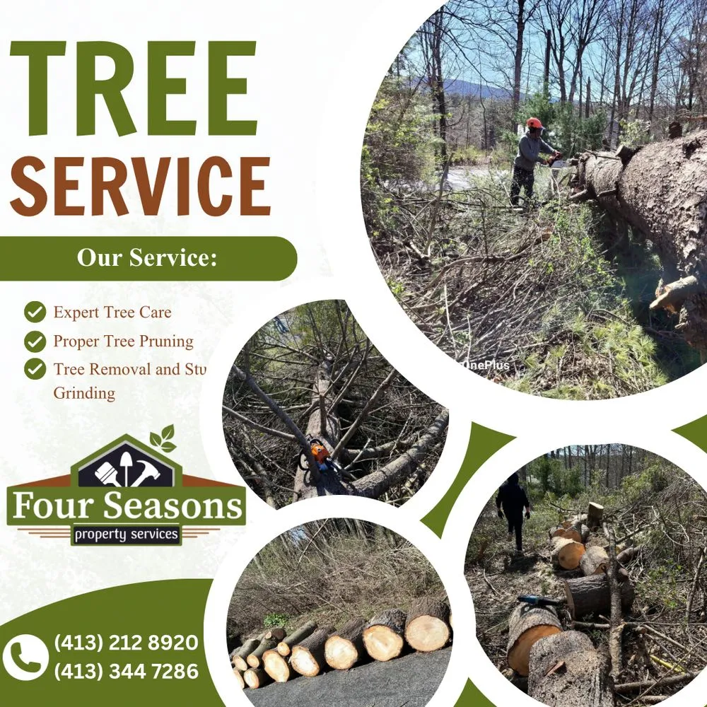 Top-rated yard maintenance in Lenox Dale, MA by Four Season Property Services