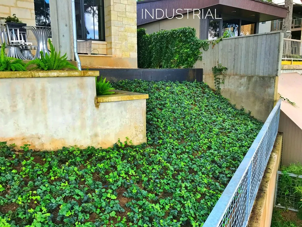 Local landscaping services experts serving San Antonio, TX - Four Seasons Botanical