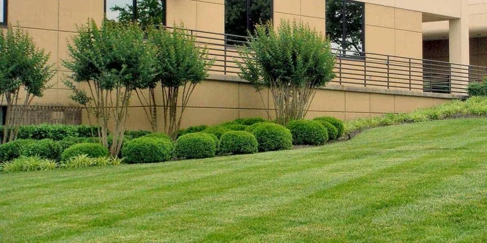 Professional residential landscaping in Huntley, IL by Four Seasons Care