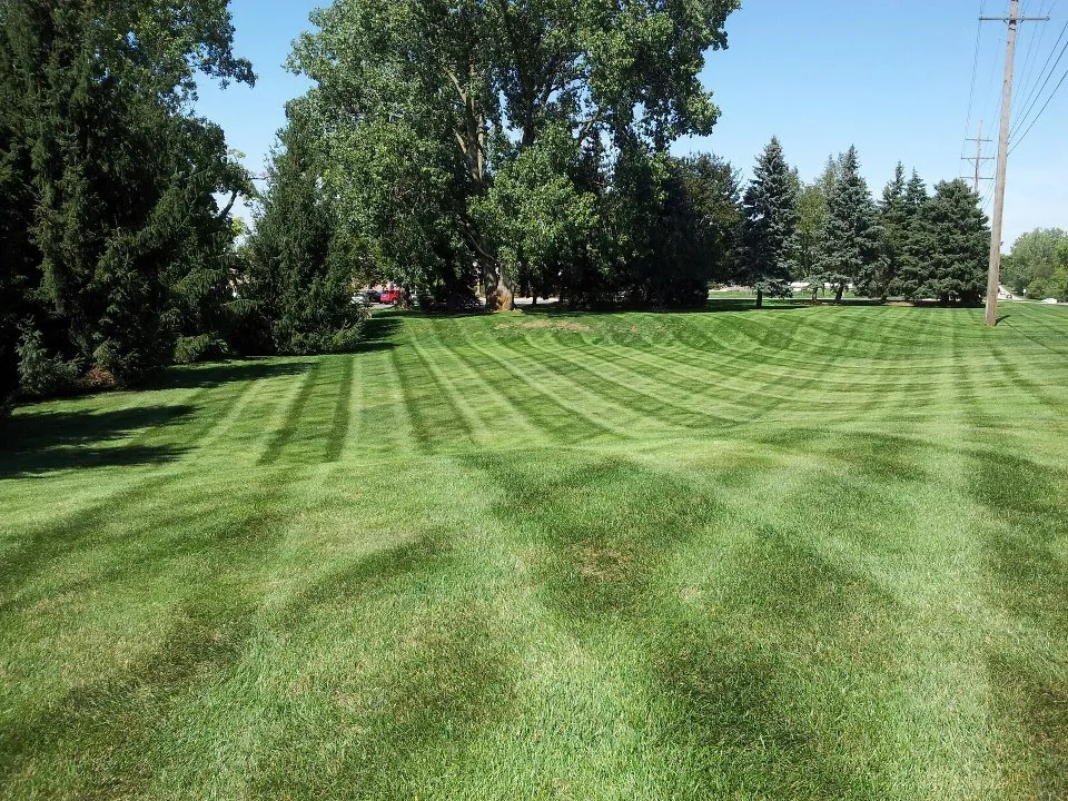 Expert yard maintenance in Huntley, IL by Four Seasons Care