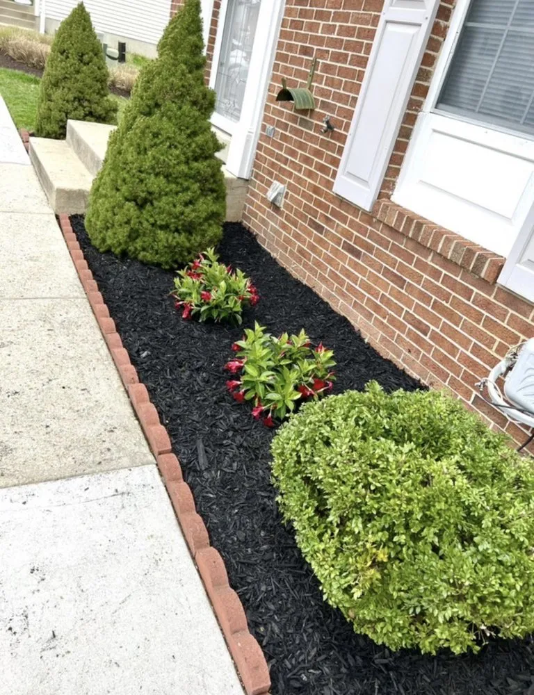 Reliable yard maintenance in Pasadena, MD - Four Seasons Contracting