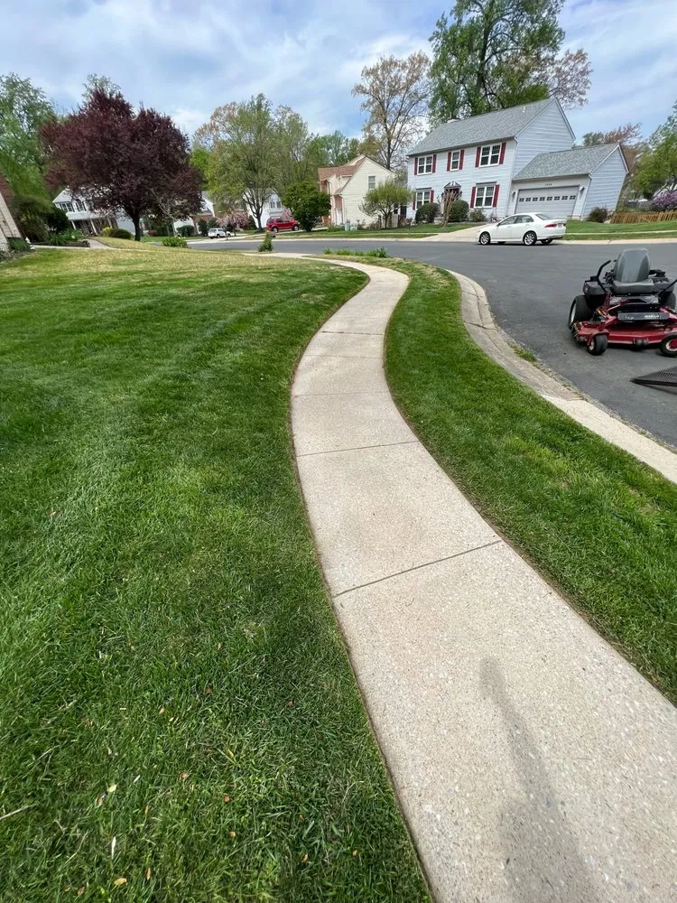 Affordable yard cleanup service in Pasadena, MD by Four Seasons Contracting