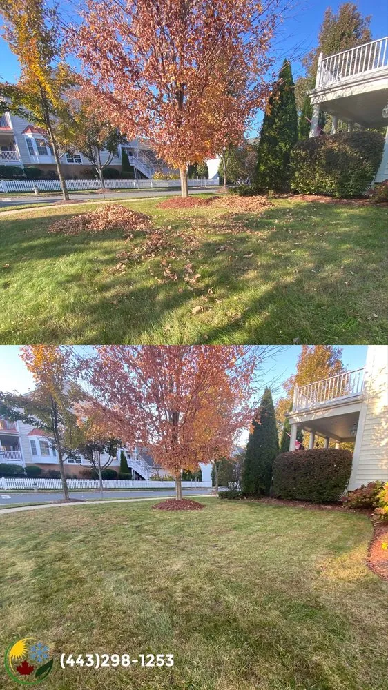 Local yard maintenance in Pasadena, MD by Four Seasons Contracting