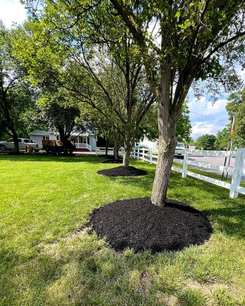 Local outdoor landscaping for homes across Pasadena, MD - Four Seasons Contracting
