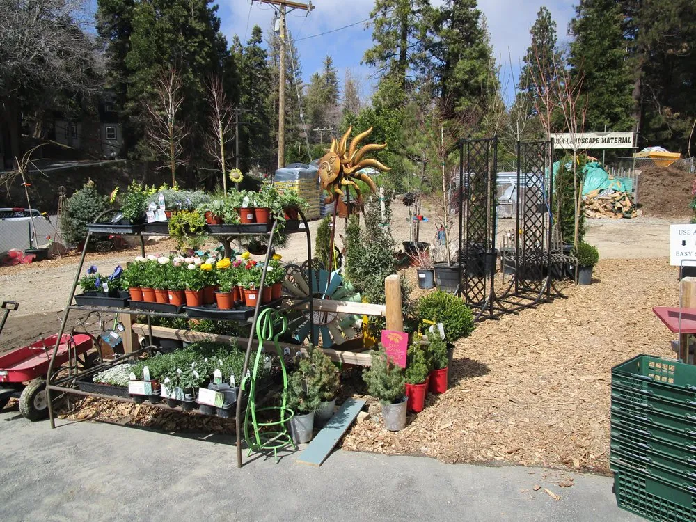 Professional lawn mowing service near you in Lake Arrowhead, CA by Four Seasons Garden Center