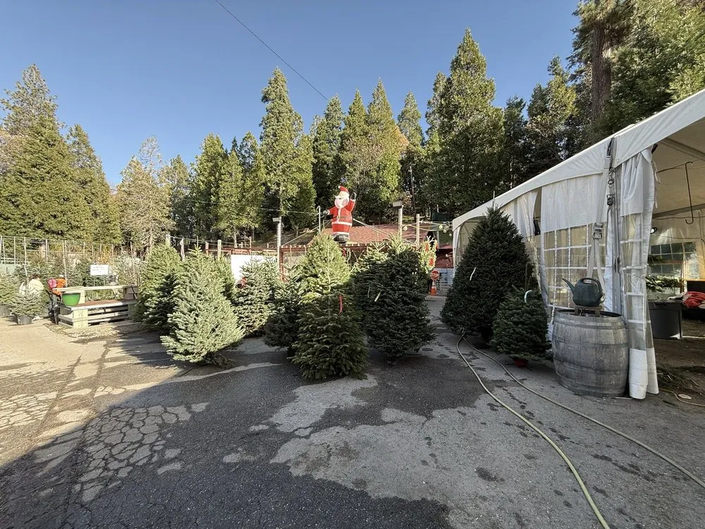 Local landscaping services for homes across Lake Arrowhead, CA - Four Seasons Garden Center