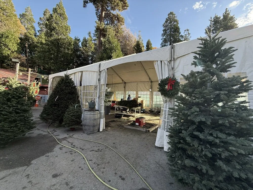 Top-rated landscape design for outdoor upgrades in Lake Arrowhead, CA by Four Seasons Garden Center