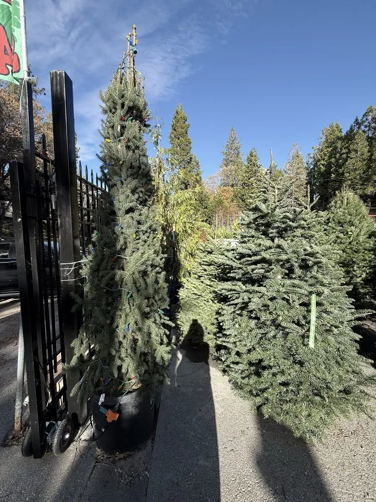 Trusted residential landscaping near you in Lake Arrowhead, CA by Four Seasons Garden Center