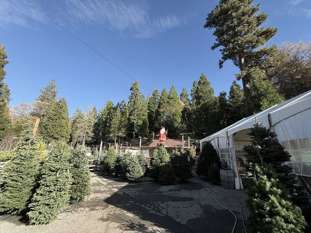 Custom yard cleanup service in Lake Arrowhead, CA - Four Seasons Garden Center