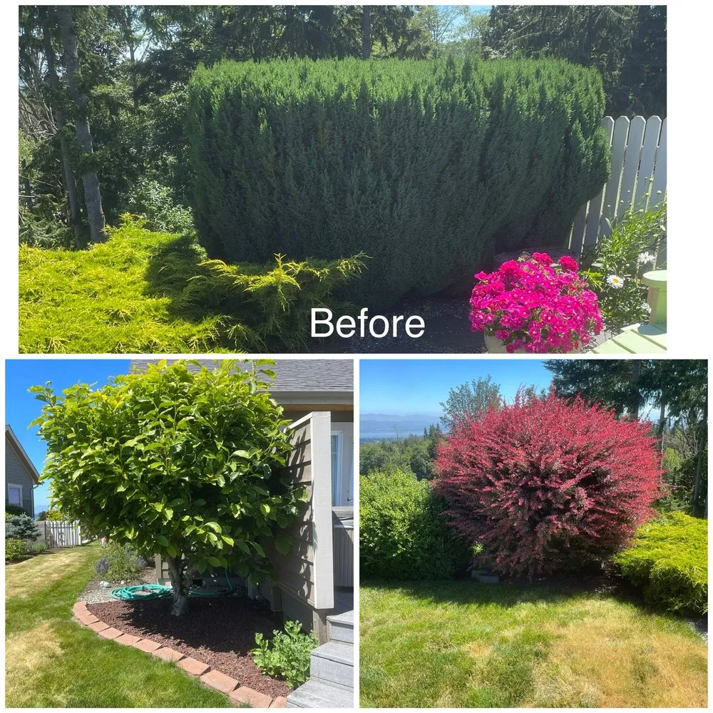 Custom residential landscaping in Mount Vernon, WA by Four Seasons Greenscape