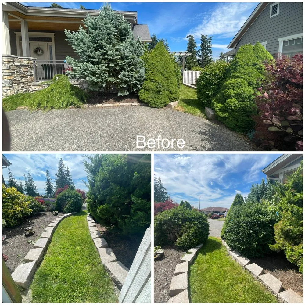 Trusted landscape installation with custom design across Mount Vernon, WA - Four Seasons Greenscape