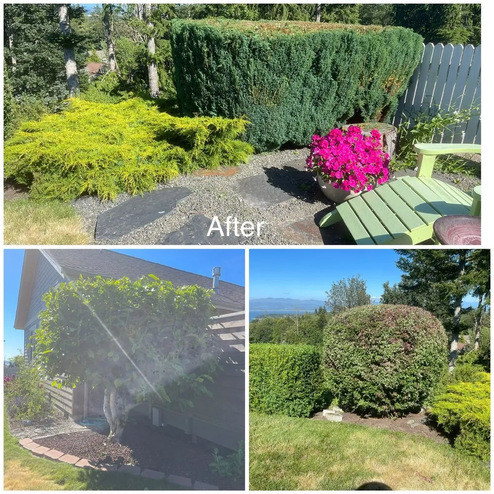 Professional yard maintenance in Mount Vernon, WA by Four Seasons Greenscape
