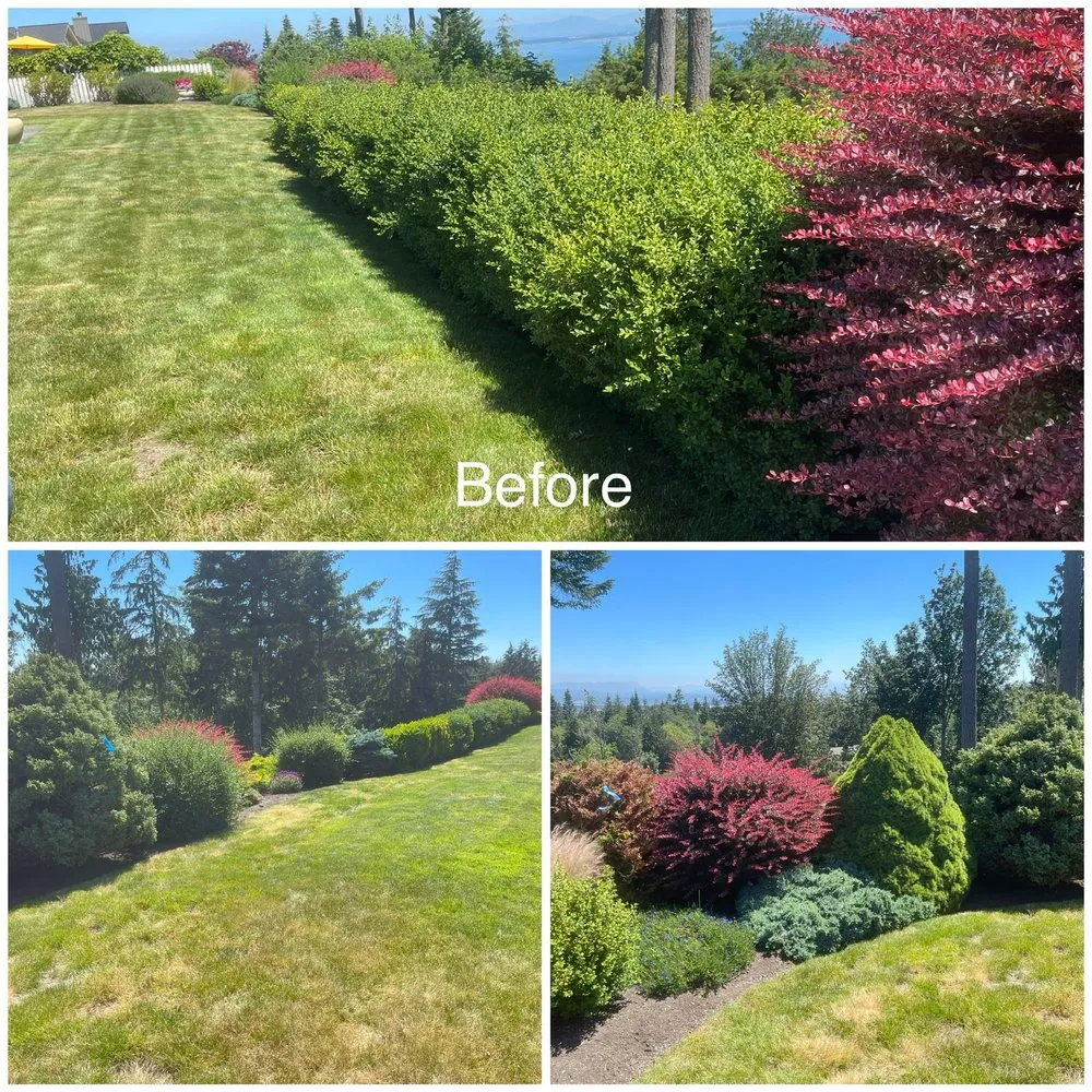 Reliable lawn care service for residential properties across Mount Vernon, WA - Four Seasons Greenscape
