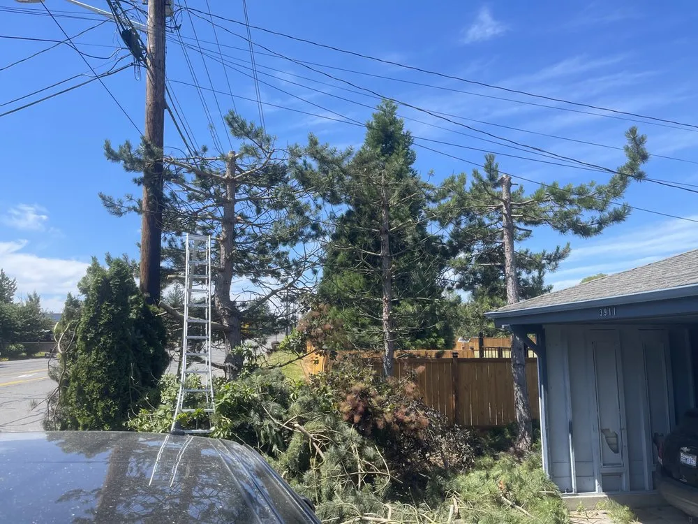 Reliable garden landscaping for homes in Mount Vernon, WA by Four Seasons Greenscape