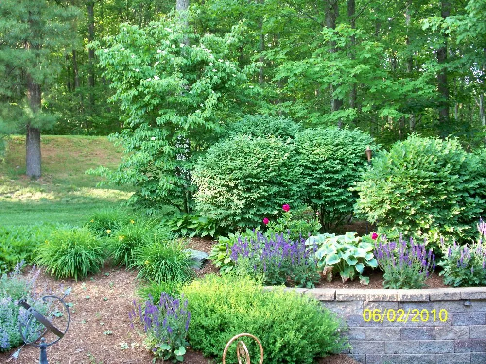 Reliable yard cleanup service with custom design in Moscow, PA by Four Seasons Grounds Care