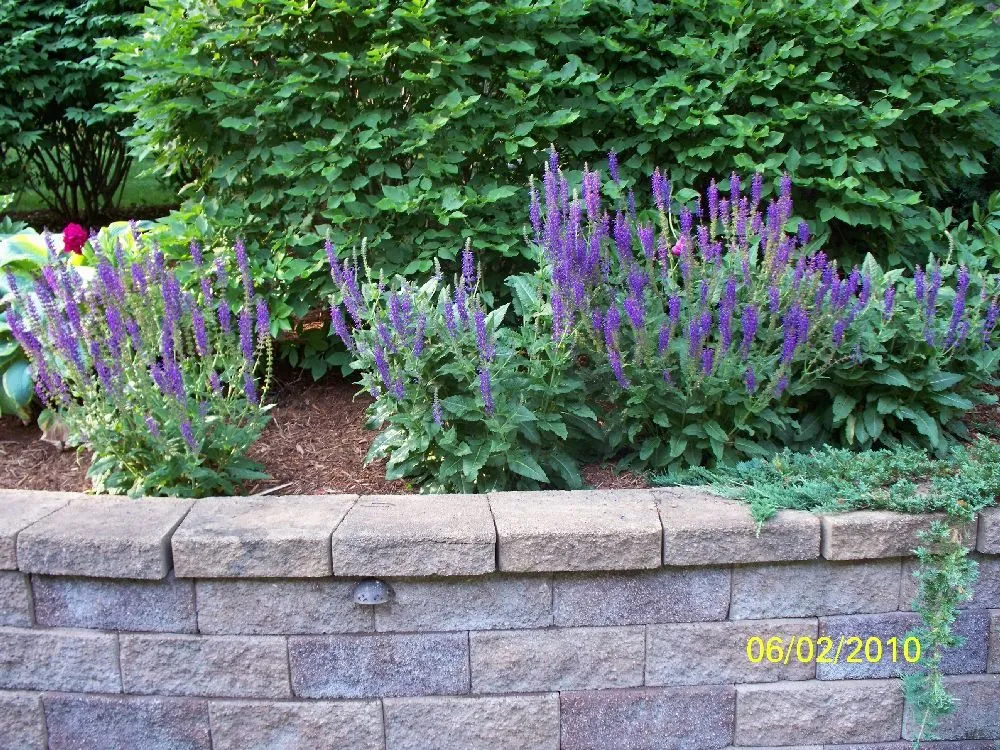 Professional yard cleanup service for outdoor upgrades in Moscow, PA by Four Seasons Grounds Care