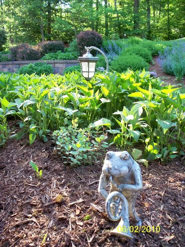 Trusted lawn care service experts serving Moscow, PA - Four Seasons Grounds Care