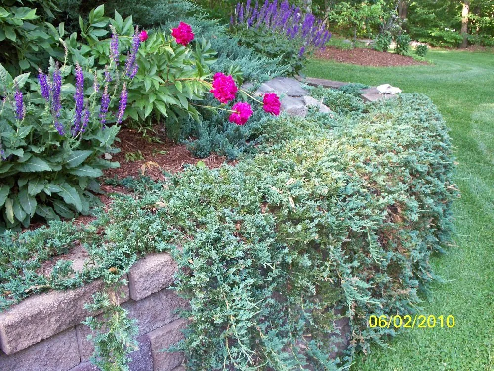 Affordable landscape design for year-round maintenance across Moscow, PA - Four Seasons Grounds Care