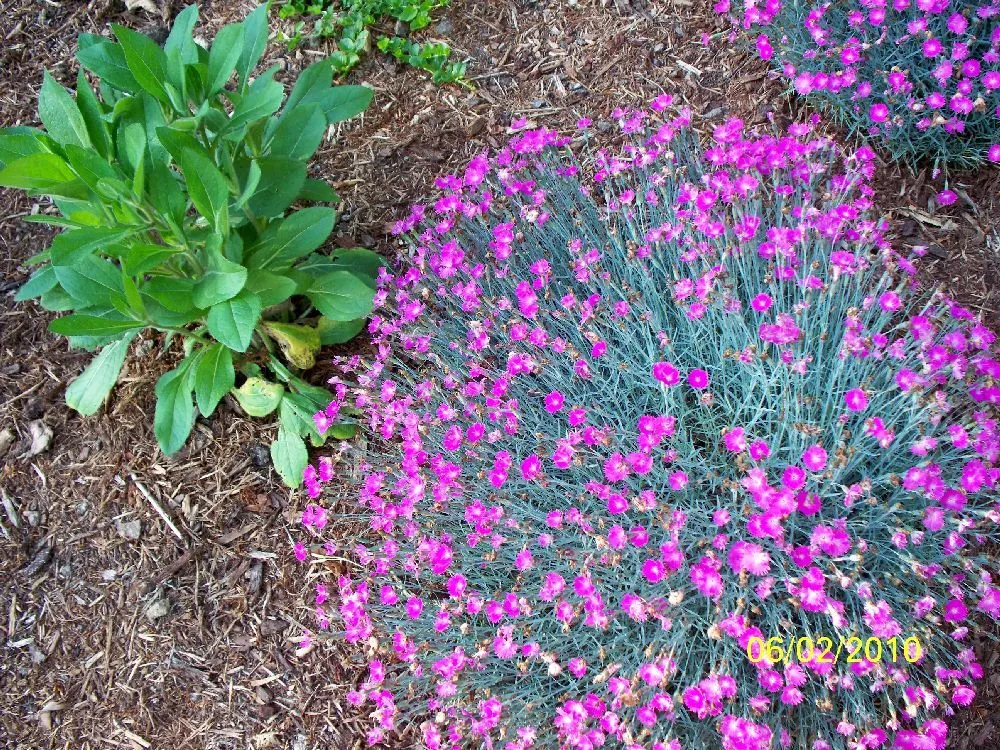 Expert garden landscaping in Moscow, PA by Four Seasons Grounds Care